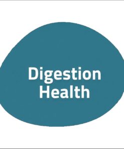 Digestion Health